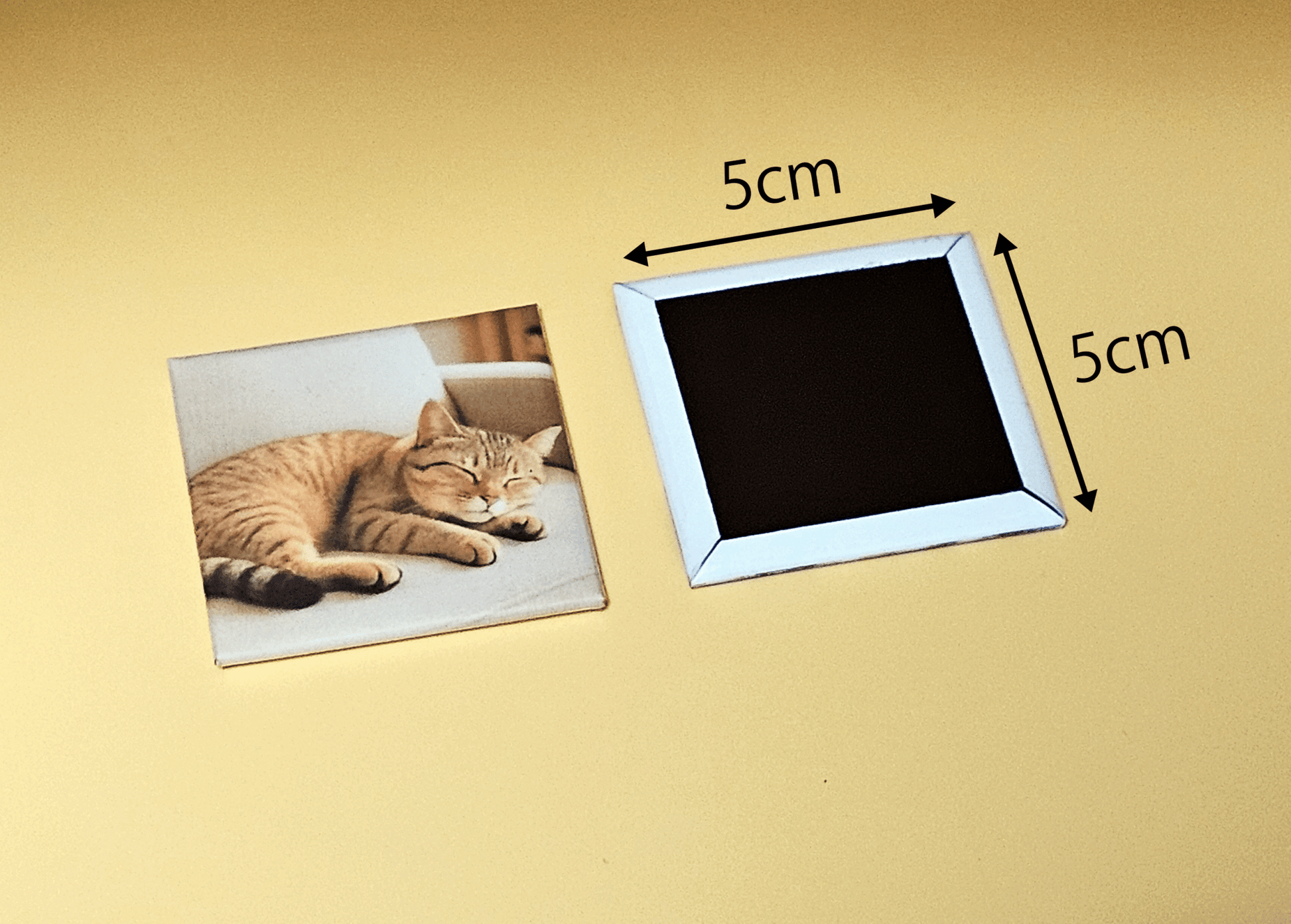 オリジナル フォトマグネット ４個セット - レンブランサ