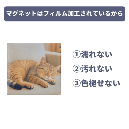 オリジナルマグネット　名入れ　サッカー　背番号　スペイン - レンブランサ